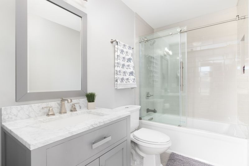 Top Tub To Shower Conversion Companies in Coralville, IA